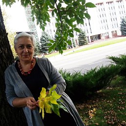 �������, ������, 63 ����