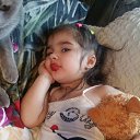 ���� �������, ��������� - ��������� 26 ���� 2017 � ������ ���� ����������