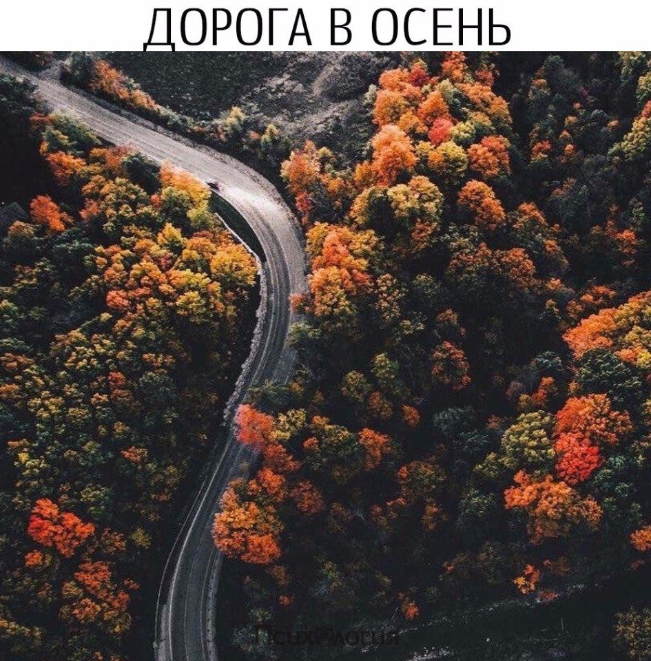  - 21  2017  19:43