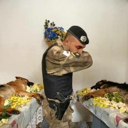 ���� ���������, ������, 35 ��� - ��������� 26 ������� 2017