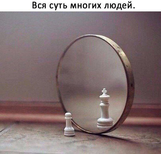   - 19  2017  11:29