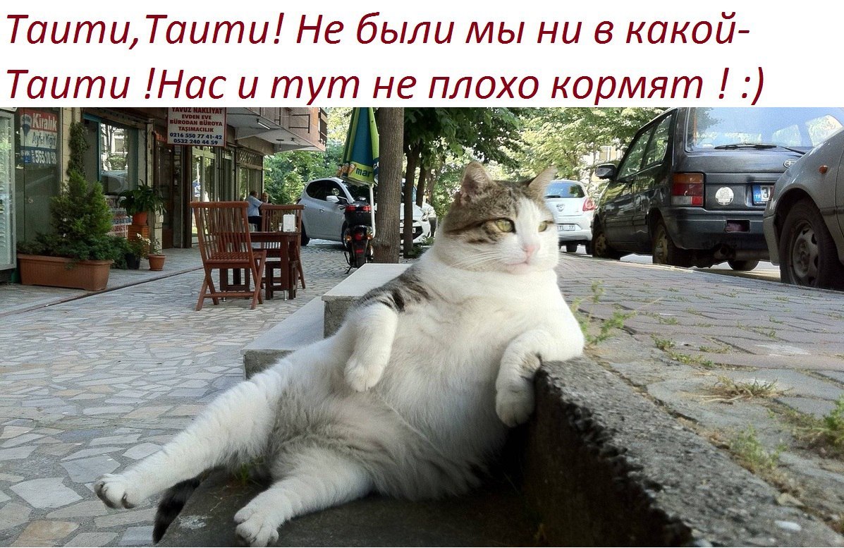   - 22  2017  19:06
