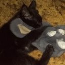 ���� �����, ������ - ��������� 8 ��� 2017 � ������ �������