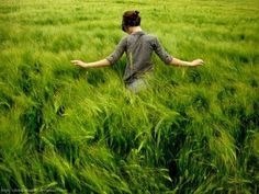 Травяные чаи.Травяные чаи ускоряют метаболизм, очищают организм, а помимо этого – они необычайно ... - 5