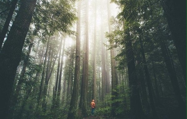 ������� � �������� - 6