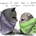 ���� ���������, �������, 36 ��� - ��������� 6 ������� 2017 � ������ ������ ��������