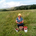 ���� ������, ������, 64 ���� - ��������� 24 ���� 2017