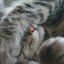 ���� �������, ������, 56 ��� - ��������� 29 ������� 2017 � ������ ���� ����������