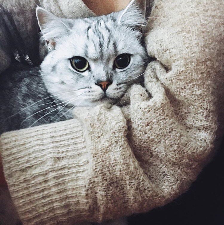   :3 - 8
