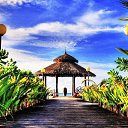  .,  -  3  2017      )