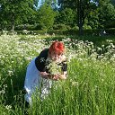 ���� ����, �����-��������� - ��������� 13 ���� 2017 � ������ ���� ����������