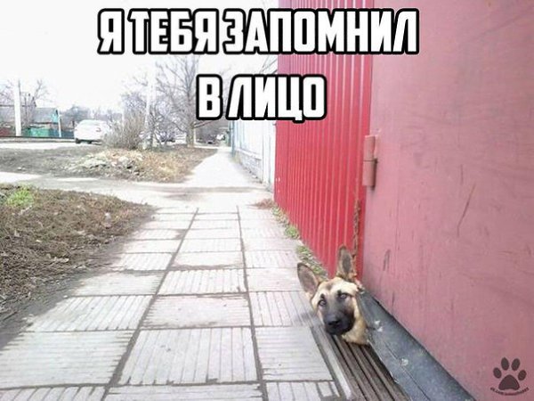   - 7  2017  11:12