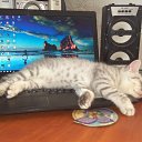 ���� ��������, ����, 50 ��� - ��������� 14 ������ 2017 � ������ ���� ����������