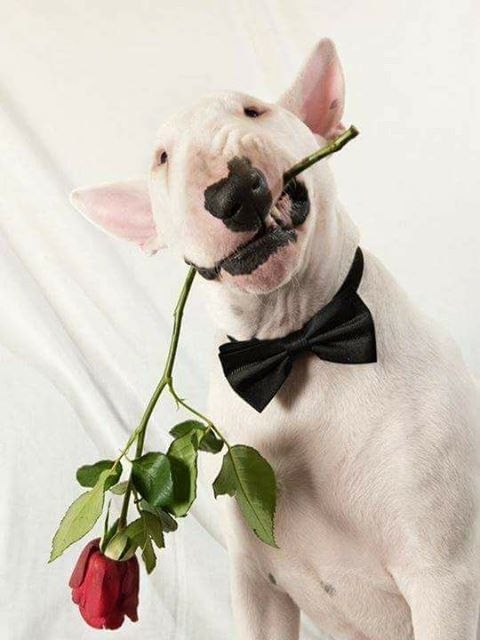 Всех школьников, студентов, а также учителей поздравляем с Днем Знаний! УРА!