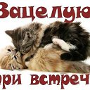 ���� ����, ������, 46 ��� - ��������� 23 ������ 2017 � ������ ���� ����������