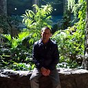 ���� ����, �����������, 40 ��� - ��������� 11 ��� 2017 � ������ ���� ����������