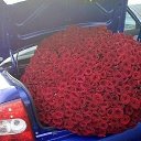 ���� ����, ��������, 39 ��� - ��������� 7 ���� 2017 � ������ ���� ����������