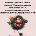 ���� ���������, ������, 46 ��� - ��������� 13 ������� 2017