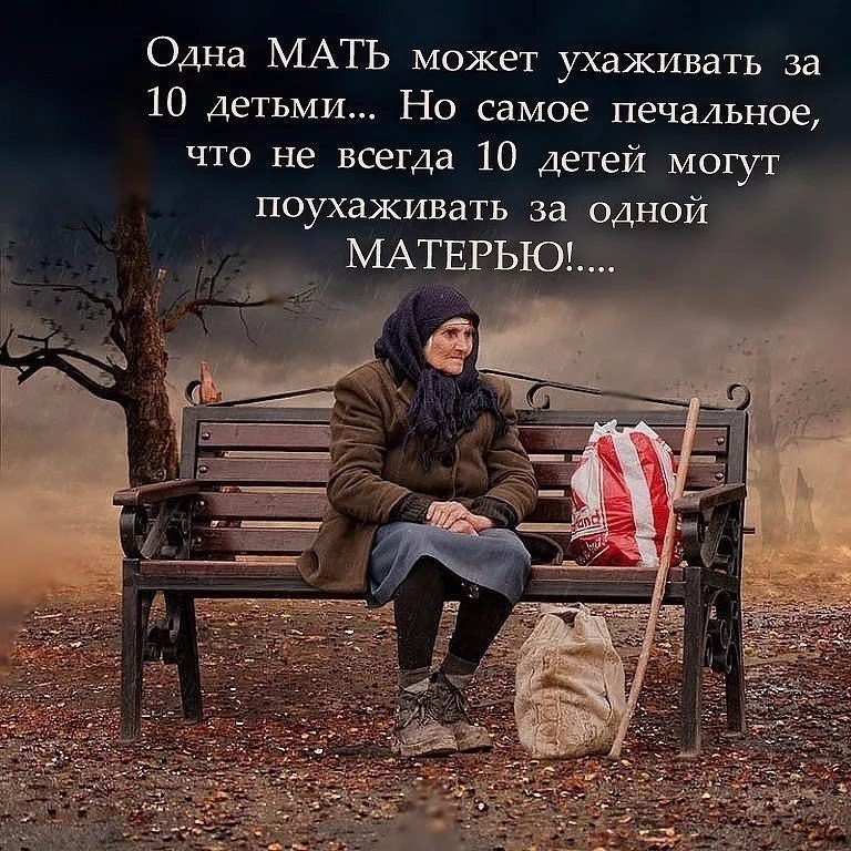   - 11  2017  14:00