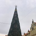 ���� �������, ���������������, 50 ��� - ��������� 15 ��� 2017 � ������ �������