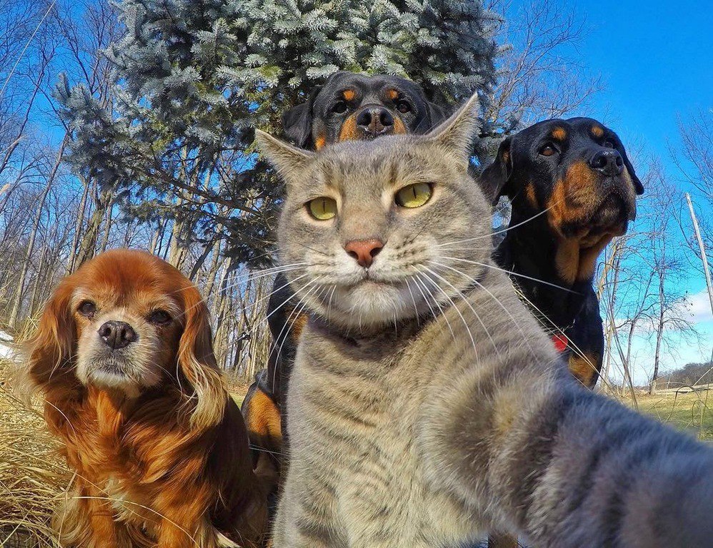    GoPro    - 8