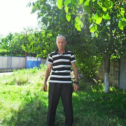 ���� �������, �������, 72 ���� - ��������� 25 ������� 2017