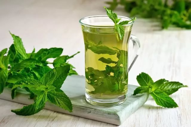 Полезные свойства мяты.Мята эффективна при расстройстве желудка, мятный настой используют для ...