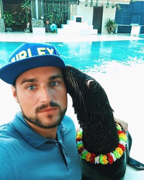  ,     29      ,      ,  ...