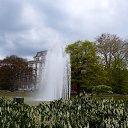  Jana, -, 67  -  19  2017    