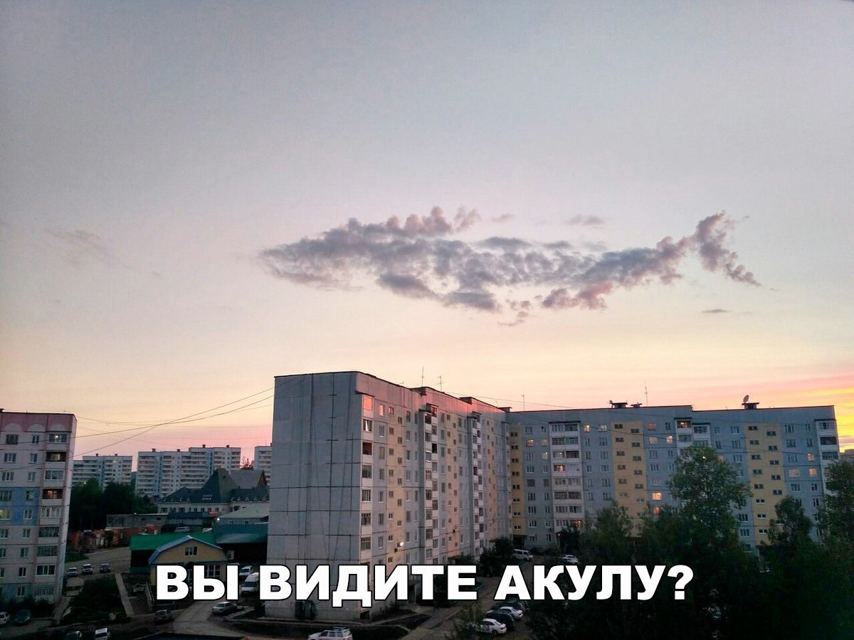    :D - 13  2017  21:03
