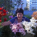 ���� �������, ������� - ��������� 14 ������� 2017 � ������ ���� ����������