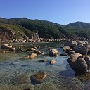 ���� �������, �����������-��-�����, 50 ��� - ��������� 1 ������� 2017 � ������ ���� ����������