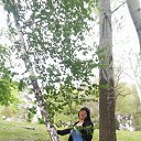 ���� ������, ���������, 49 ��� - ��������� 9 ��� 2017 � ������ ���������� ������