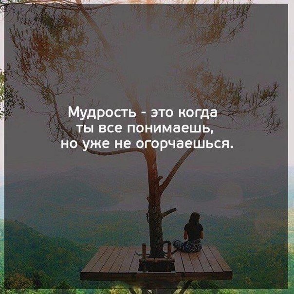 ,   ,    - 10  2017  06:53