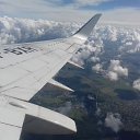 ���� ����, ������ ��������, 38 ��� - ��������� 11 �������� 2017 � ������ ���� ����������