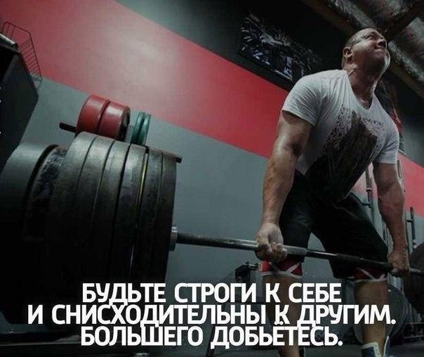SportFeed - 25  2017  14:24