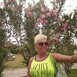 �����, �����-���������, 56 ���