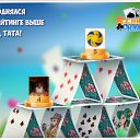 ���� �������, ��������� - ��������� 8 ���� 2017 � ������ �������� �������-�������