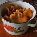 ���� ��������, Kouvola, 78 ��� - ��������� 3 ������� 2017 � ������ ����������������� ����