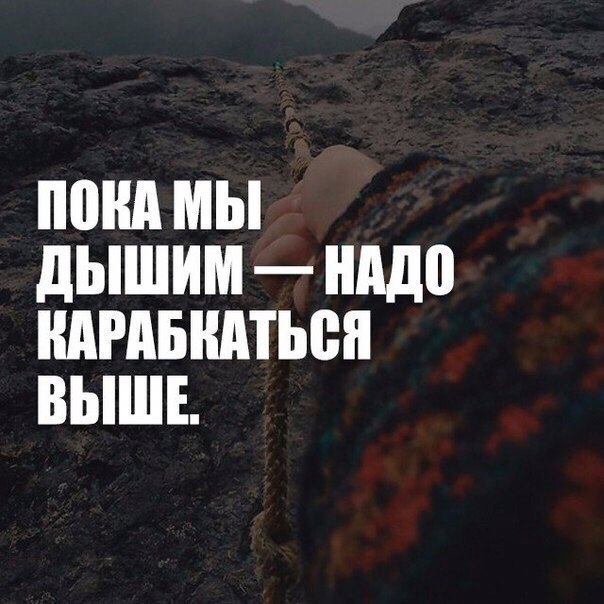 BEST | , ,  - 2  2017  11:55