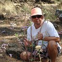 ���� ������, ������, 50 ��� - ��������� 27 ������� 2017 � ������ ���� ����������