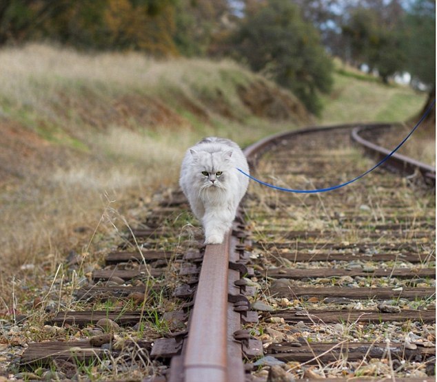 ��� �������� � ��� ������������ �����������. ��������� ��� ��������, ����������� � ����������, ... - 9