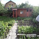 ���� �������� ����, ������, 46 ��� - ��������� 29 ������� 2017 � ������ ����