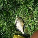 ���� ������, ����� ������, 58 ��� - ��������� 30 ���� 2017 � ������ ���������� ���� 2017�