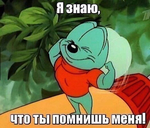  - 8  2017  20:00