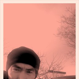 �����, ��������, 49 ���