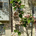 ���� ������, ������������, 51 ��� - ��������� 24 ������ 2017 � ������ ���� ����������