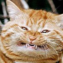 ���� Oleg, �������, 58 ��� - ��������� 9 ��� 2017 � ������ ���� ����������