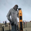 ���� ������, ������, 62 ���� - ��������� 24 �������� 2017 � ������ ���� ����������