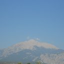  , -, 42  -  8  2017   , 2017 ()